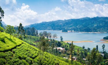 Scenic Sri Lanka Tour